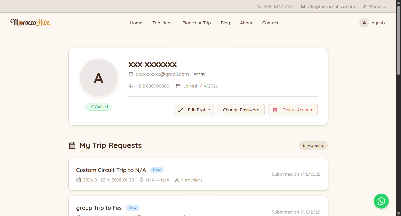 Morocco Hive preview 2